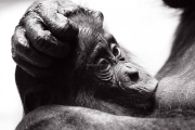 1D3_7599_edited_SW