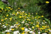 1D3_1840 edited
