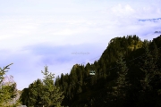 1D3_7275 edited