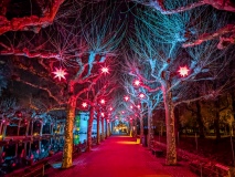 PXL_20241216_183710286-edited