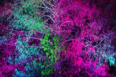 R5__4483-edited