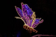 R___9592_edited