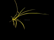 20161106_104719 edited