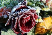 IMG_1107 edited