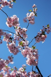 IMG_8939 edited